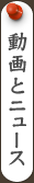 動画とニュース