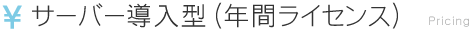 サーバー導入型（年間ライセンス）