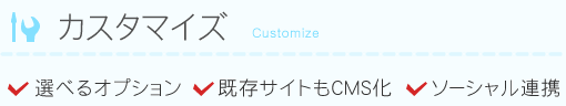 カスタマイズ　選べるオプション、既存サイトもCMS化、ソーシャル連携